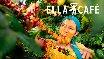 Mulher colhendo café cereja